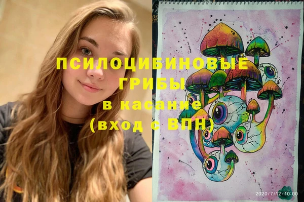 молекула духа Гусь-Хрустальный