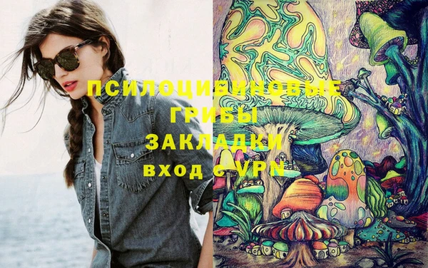 молекула духа Гусь-Хрустальный